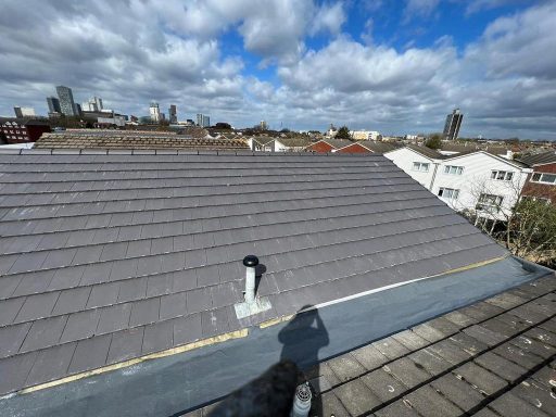 View of a rooftop with a skyline in the background under a cloudy sky.