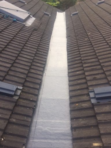 View down a sloped roof with a central seam and skylights on either side.